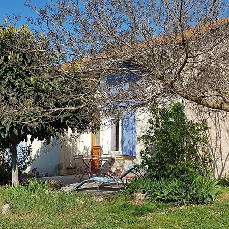 Petite Maison Refaite A Neuf Dans Mas Du 19Eme Siecle Arles Exteriér fotografie