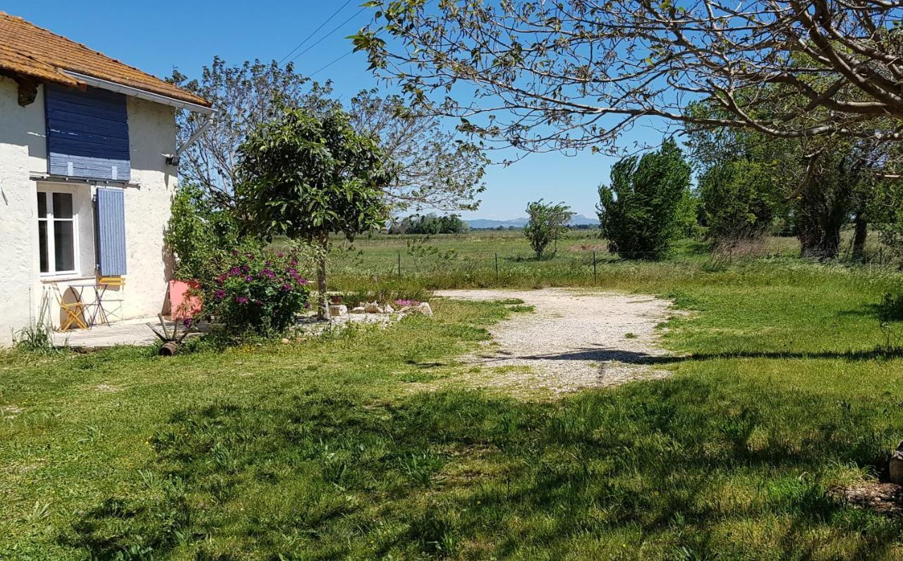 Petite Maison Refaite A Neuf Dans Mas Du 19Eme Siecle Arles Exteriér fotografie