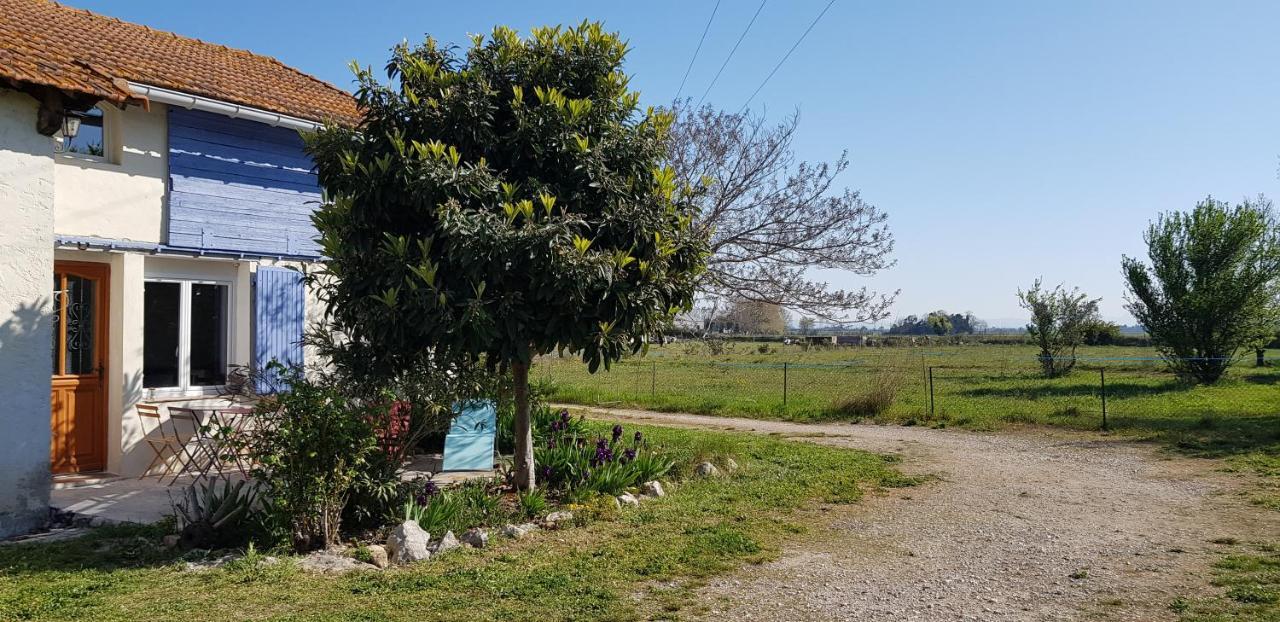 Petite Maison Refaite A Neuf Dans Mas Du 19Eme Siecle Arles Exteriér fotografie