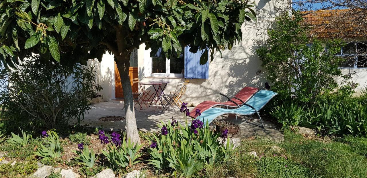 Petite Maison Refaite A Neuf Dans Mas Du 19Eme Siecle Arles Exteriér fotografie
