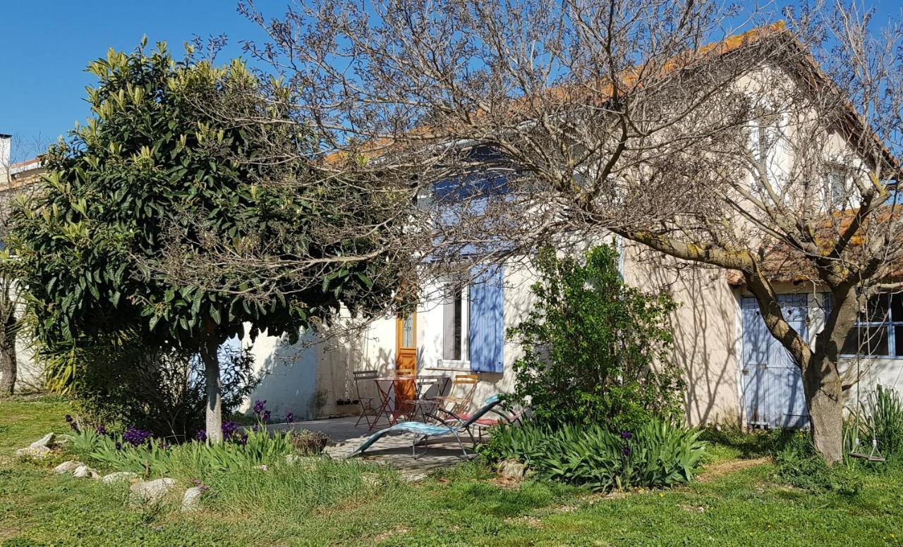 Petite Maison Refaite A Neuf Dans Mas Du 19Eme Siecle Arles Exteriér fotografie